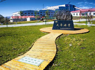 菏泽天华矿业集团